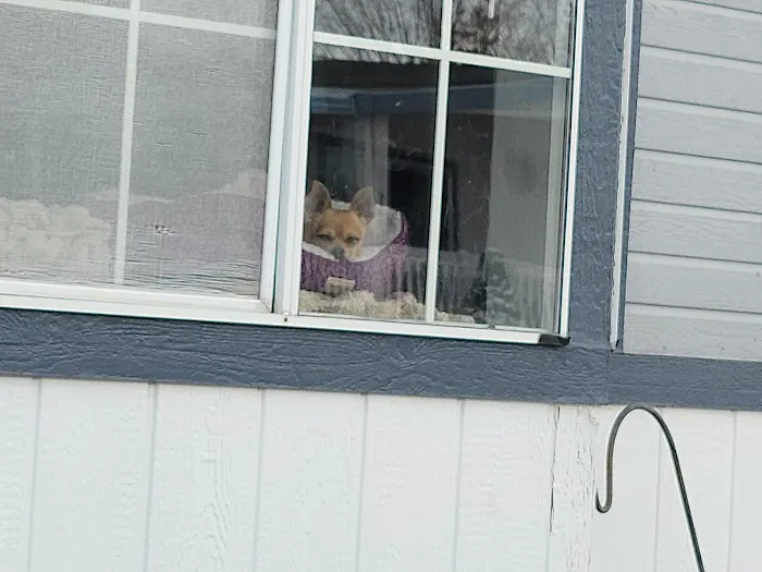 Country Meadows Community Picture 1