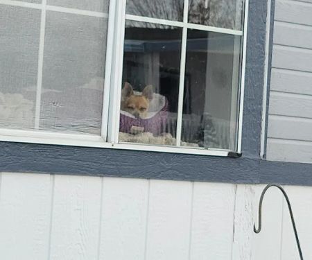 Country Meadows Community