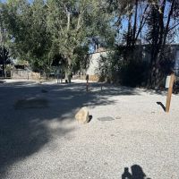 Mary West Trailers ico