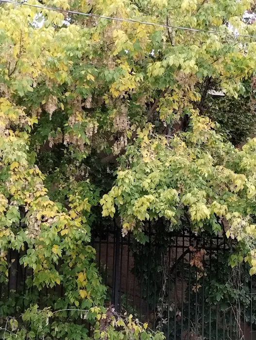 Millcreek Mobile Homes Picture 2