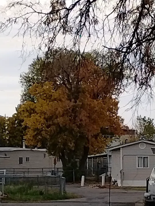 Millcreek Mobile Homes Picture 5