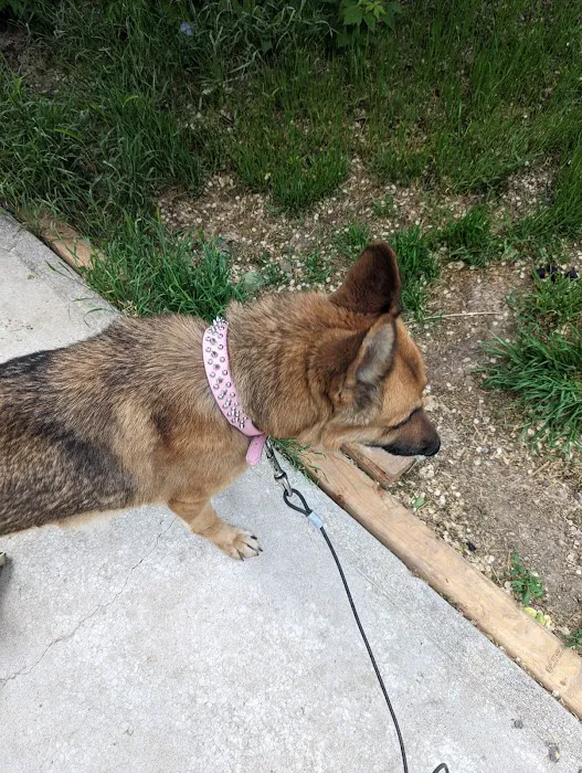 Millcreek Mobile Homes Picture 7