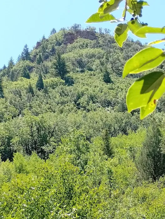 Millcreek Mobile Homes Picture 3