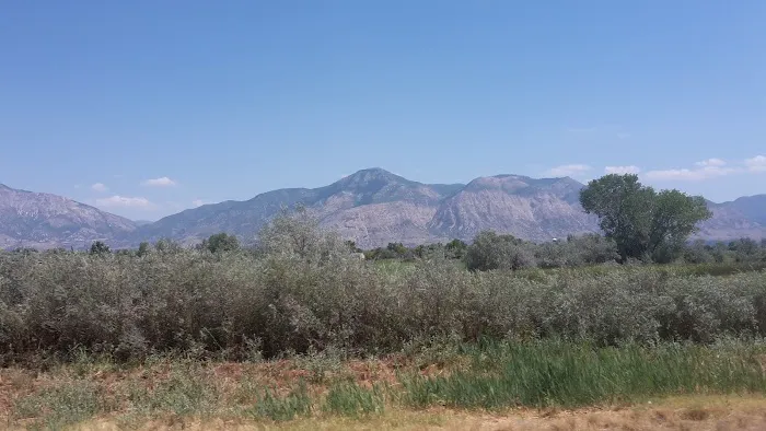 Westwood Village Picture 7