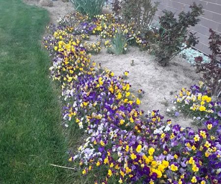 Wasatch View Estates