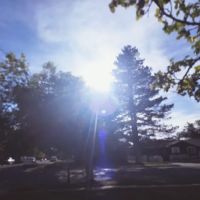 Mapleview Mobile Home Park ico