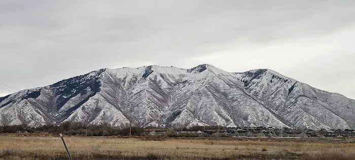 South Springville Terrace Mobile Home Community Picture 2