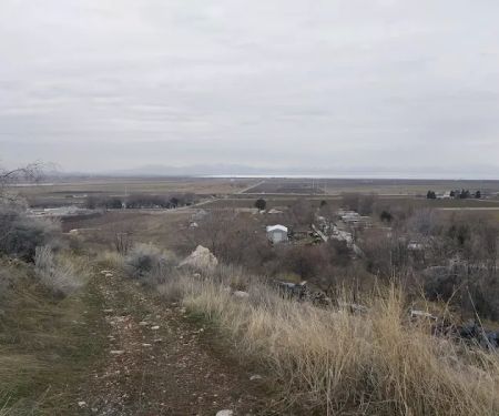 Coleman Mobile Home Court