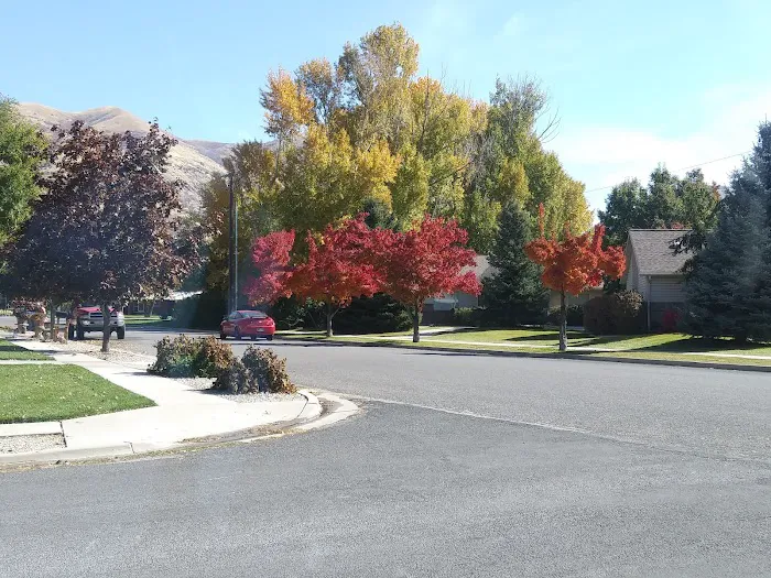 Brigham Village Picture 5