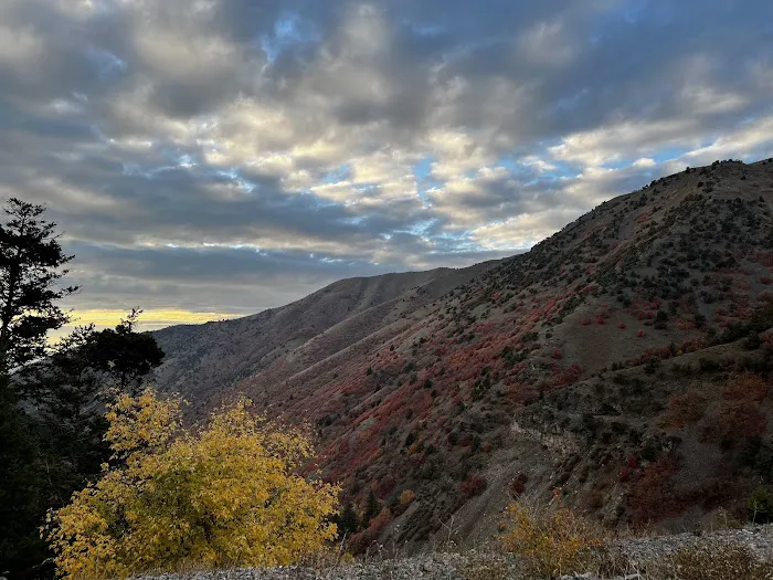 Logan River Estates Picture 8