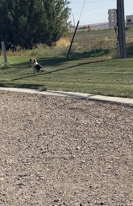 Jones High Country RV Camp Picture 4