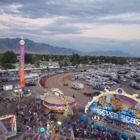 Town and Country Estates ico