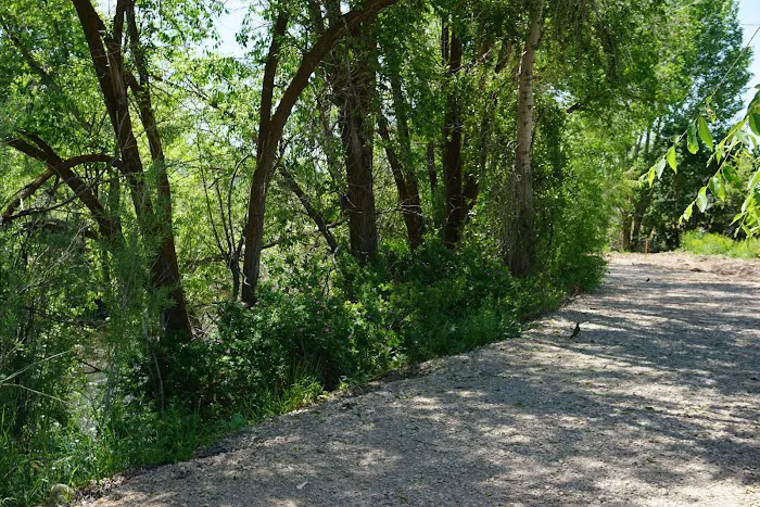 Creekside RV Park Picture 1