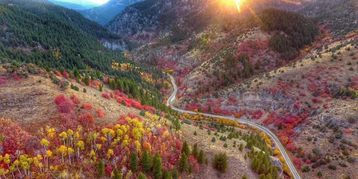 Creekside RV Park Picture 4