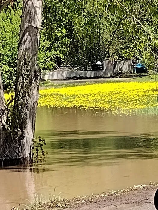 Creekside RV Park Picture 7