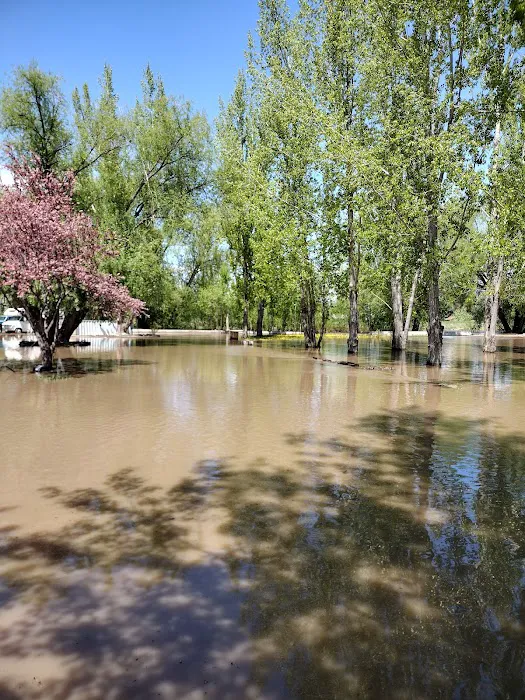 Creekside RV Park Picture 10