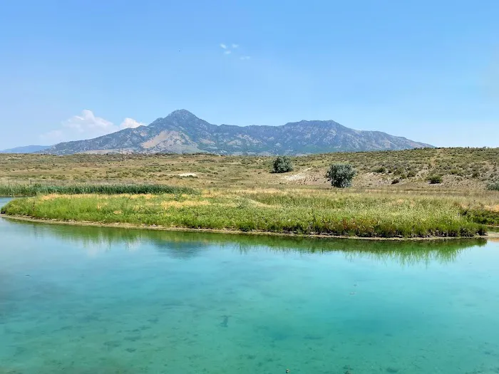 Belmont Hot Springs RV Park Picture 3