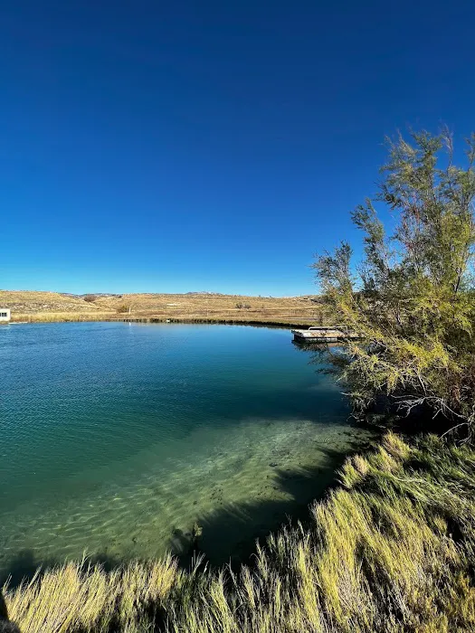 Belmont Hot Springs RV Park Picture 2