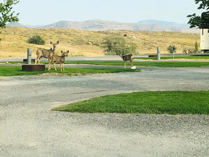 Belmont Hot Springs RV Park Picture 7