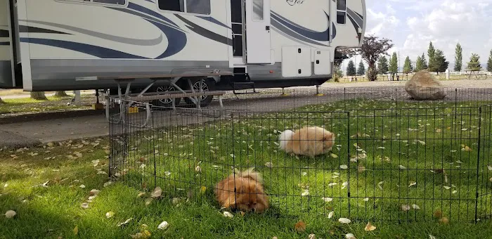 Downey City RV Park Picture 4