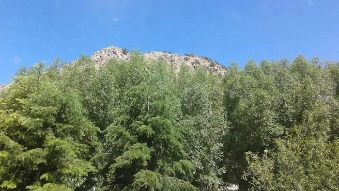 Mary's Place Campground Picture 4