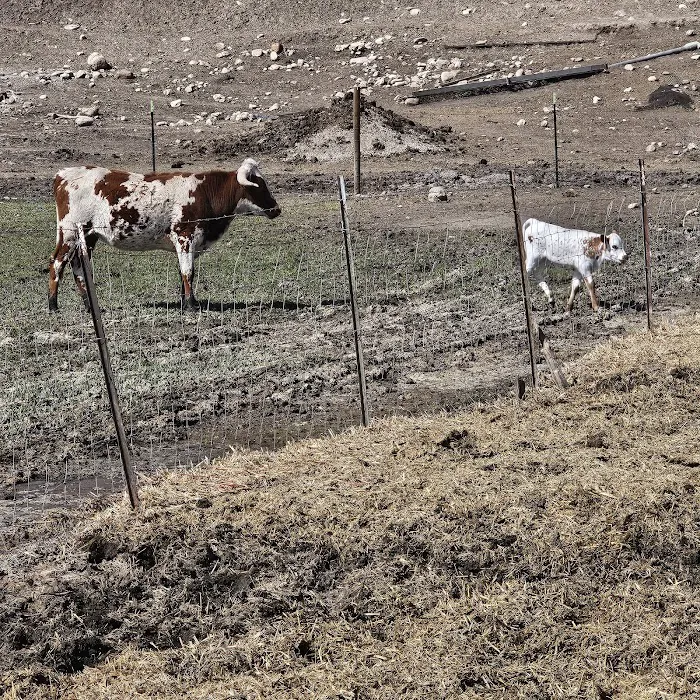 McCammon RV Park Picture 5