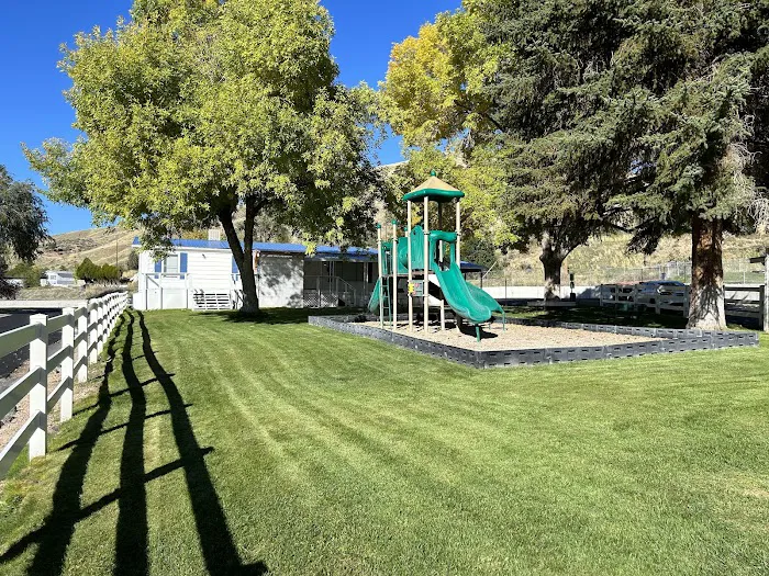 The Flamingo Picture 1