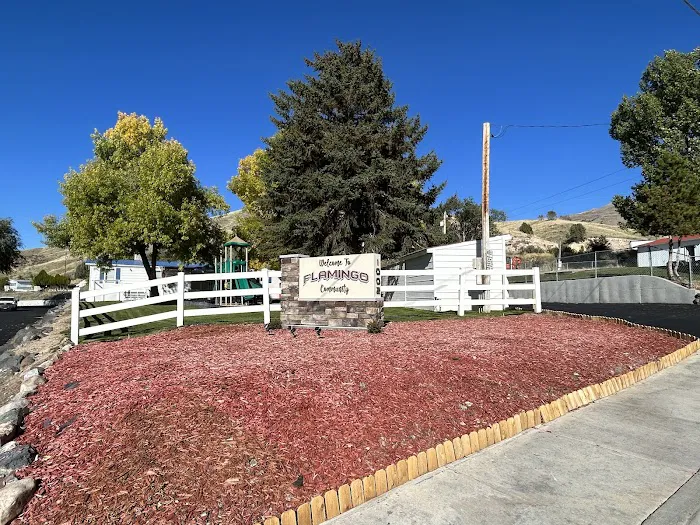 The Flamingo Picture 3