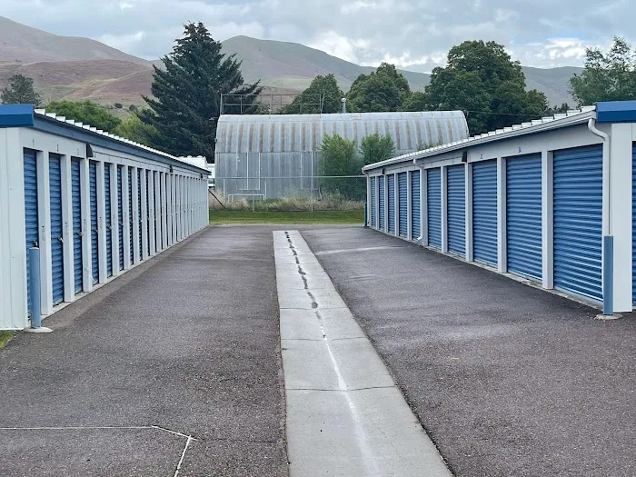 The Flamingo Picture 4