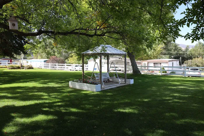 The Flamingo Picture 5