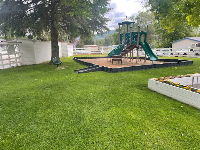 The Flamingo Picture 7