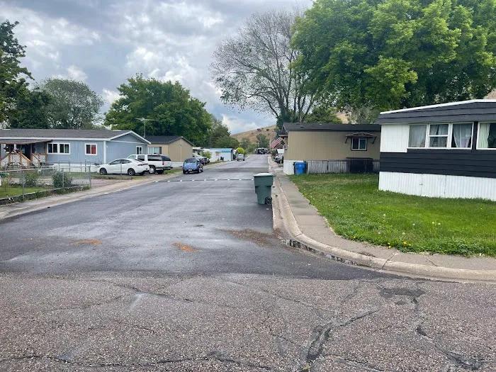 The Flamingo Picture 6