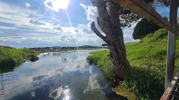 Cedar Bay Marina RV Park & Cafe Picture 2