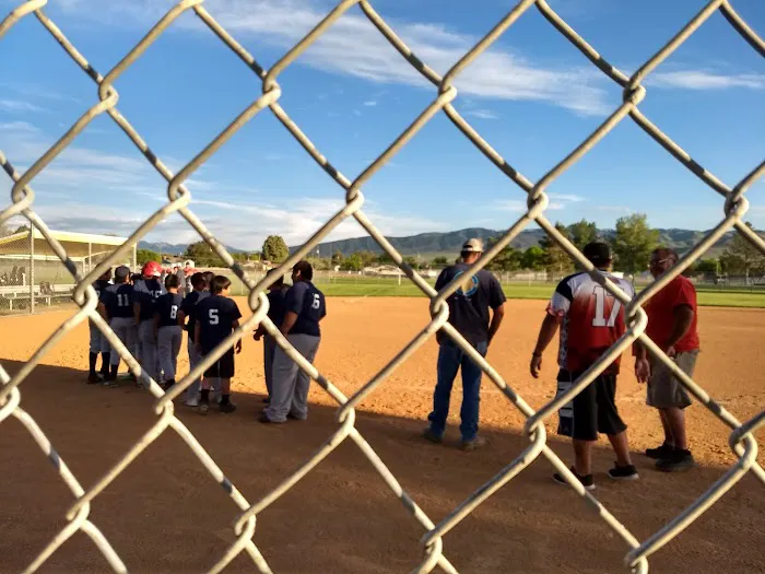 Dynasty Court Picture 7