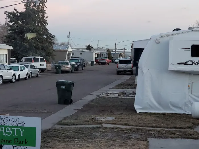 Dynasty Court Picture 1