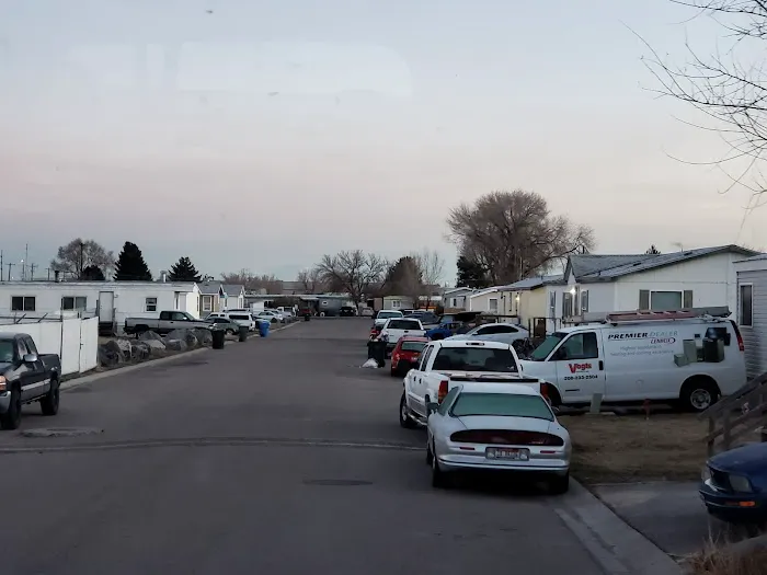 Dynasty Court Picture 4