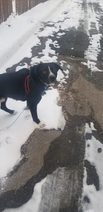 Belaire Estates Mobile Home Park Picture 1