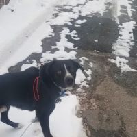 Belaire Estates Mobile Home Park ico