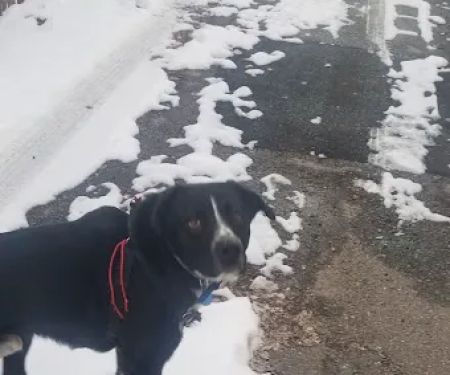 Belaire Estates Mobile Home Park