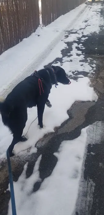 Belaire Estates Mobile Home Park Picture 2