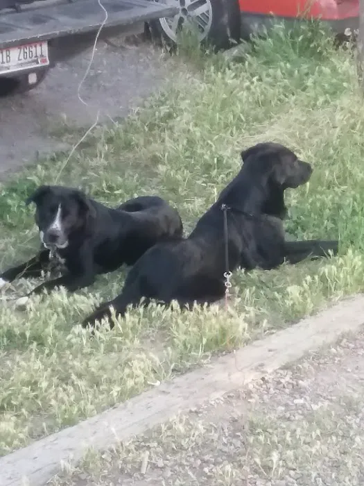 Budget Rv Park Picture 8