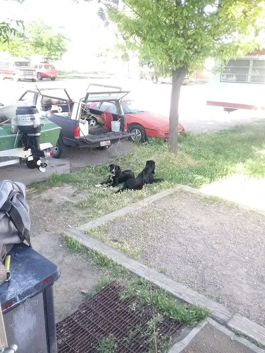 Budget Rv Park Picture 7