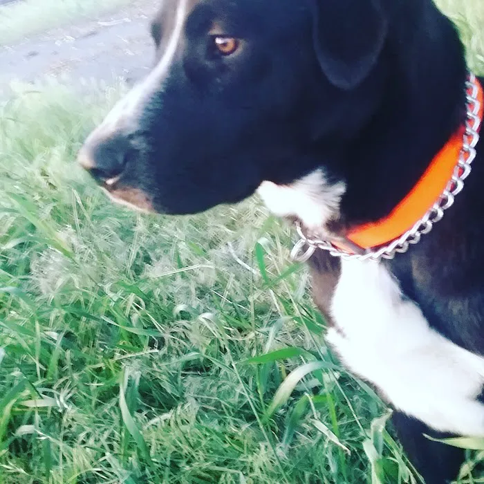 Budget Rv Park Picture 9