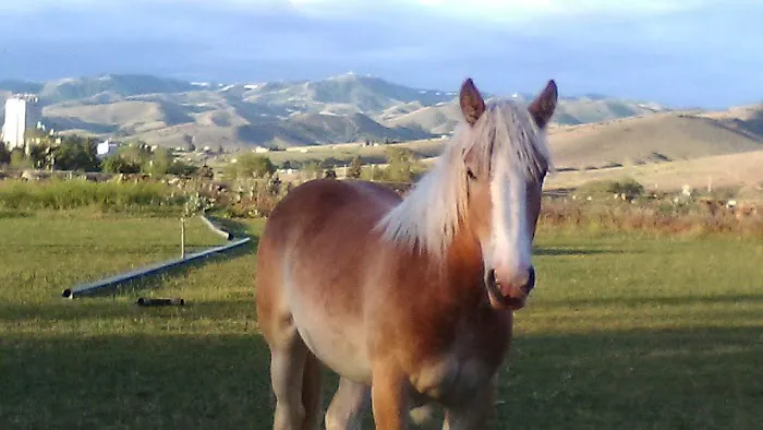 High Country Picture 3