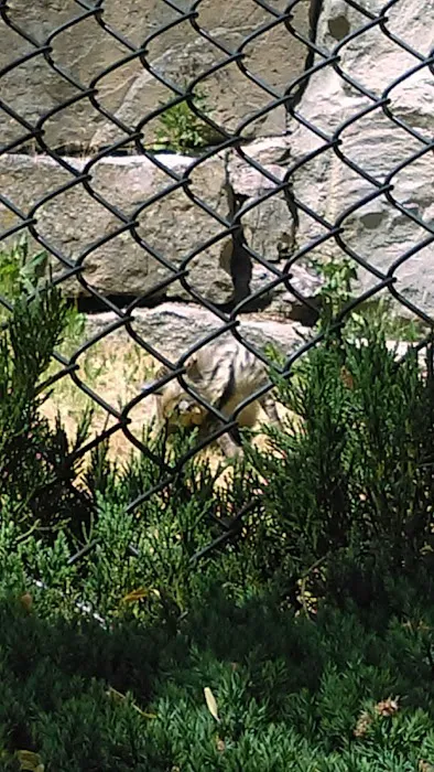 High Country Picture 10