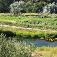 Batise Springs RV Park ico