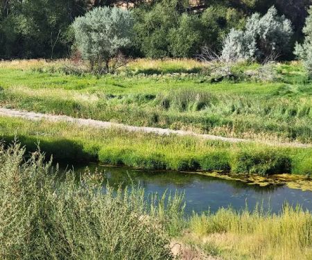 Batise Springs RV Park