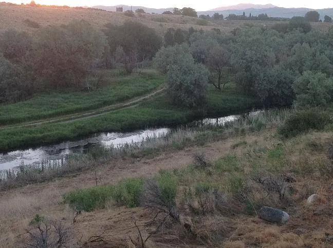 Batise Springs RV Park Picture 10