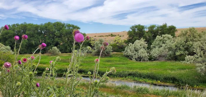 Batise Springs RV Park Picture 6