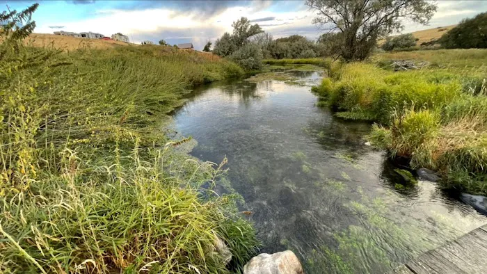 Batise Springs RV Park Picture 5